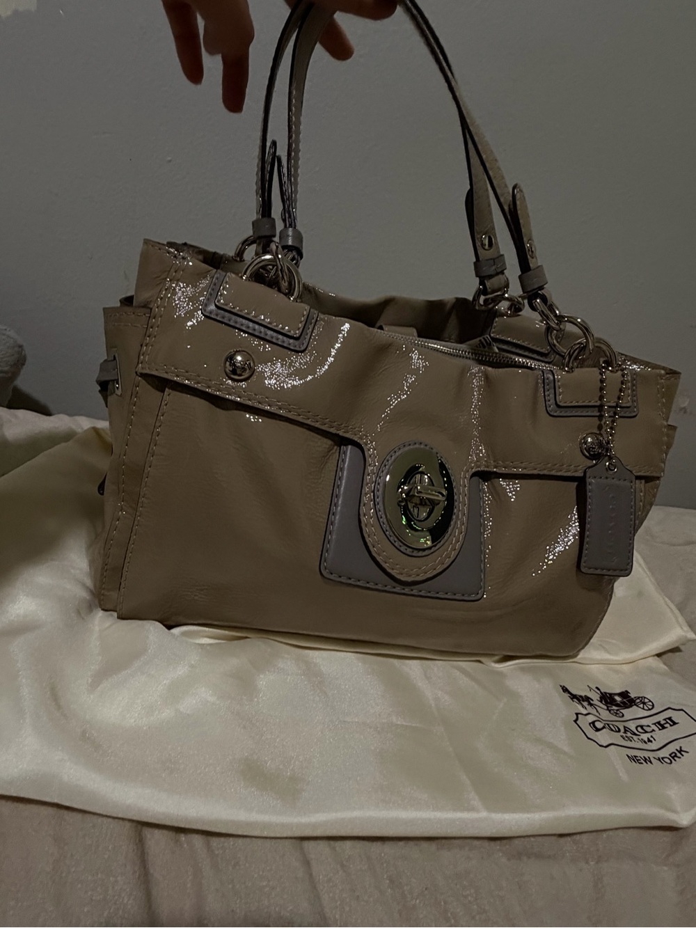 Patent Leather Tote Bag in Taupe